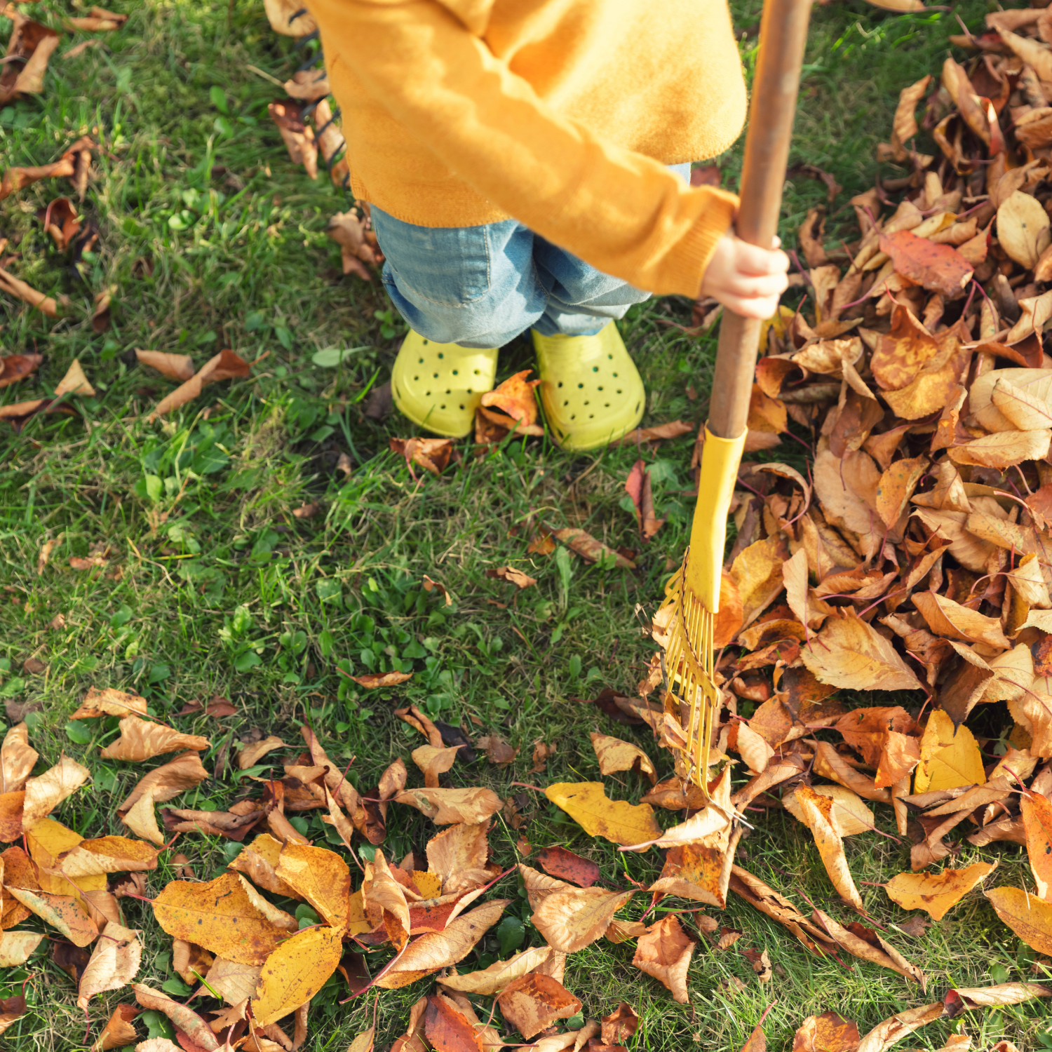 Fall Garden Prep for Winter