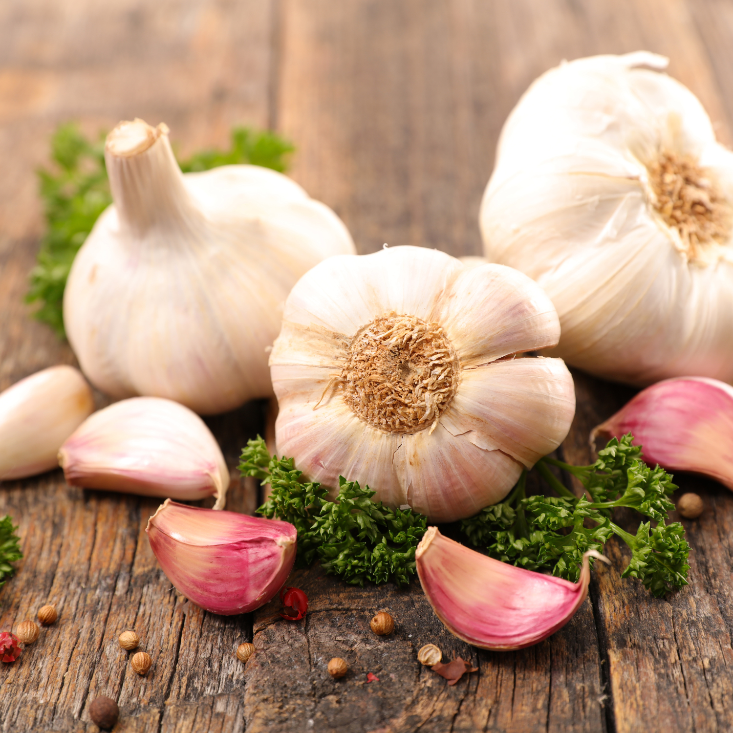 How to Grow Garlic