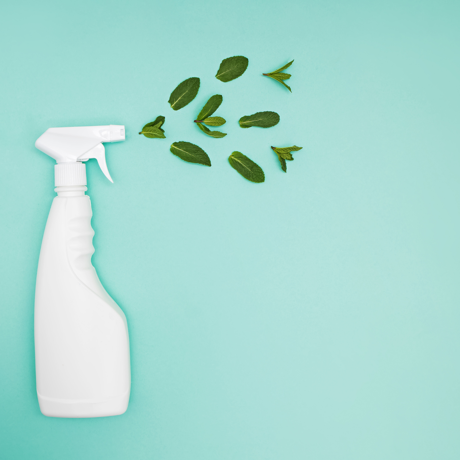 essential oils for DIY cleaning solutions