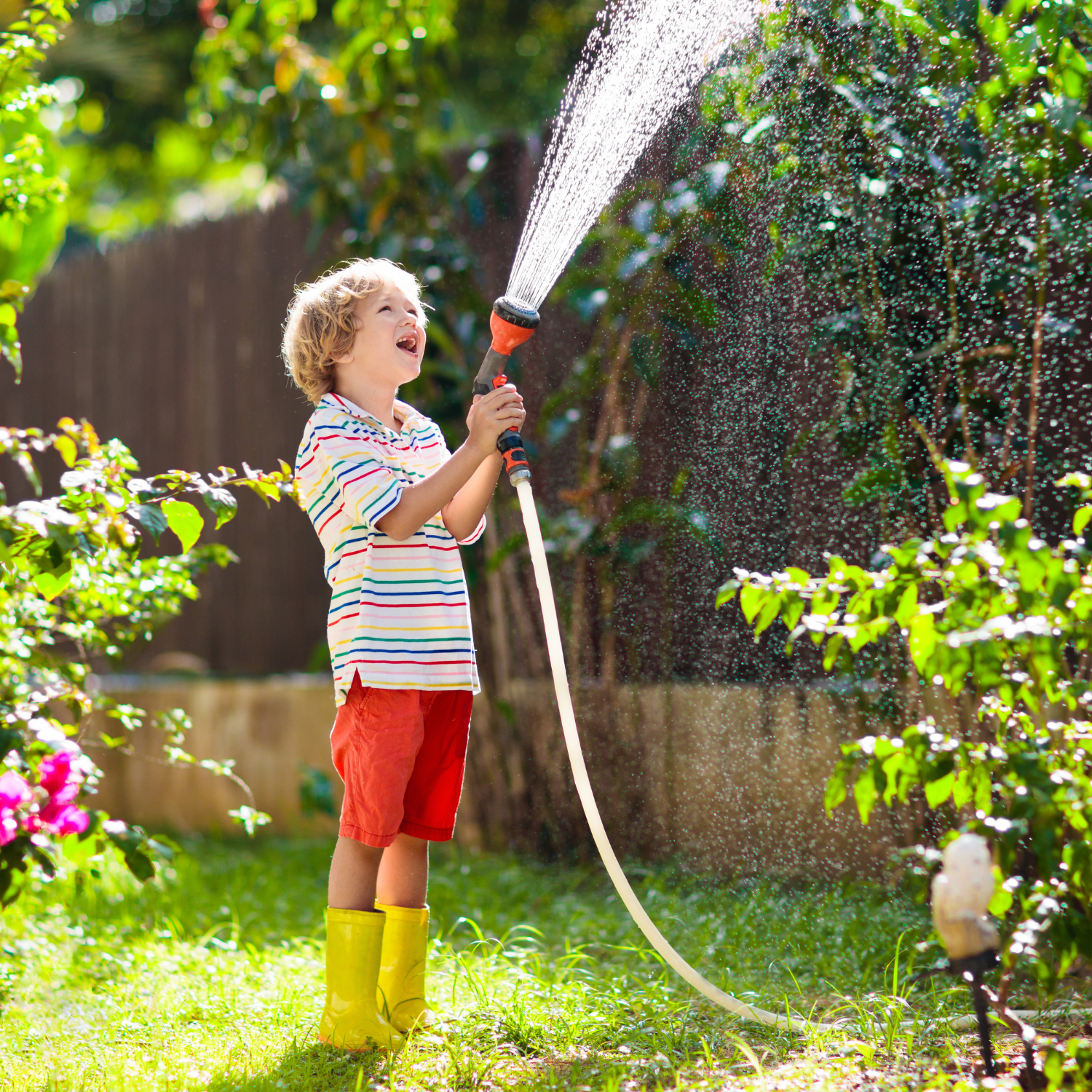 child watering plants. Chores for kids