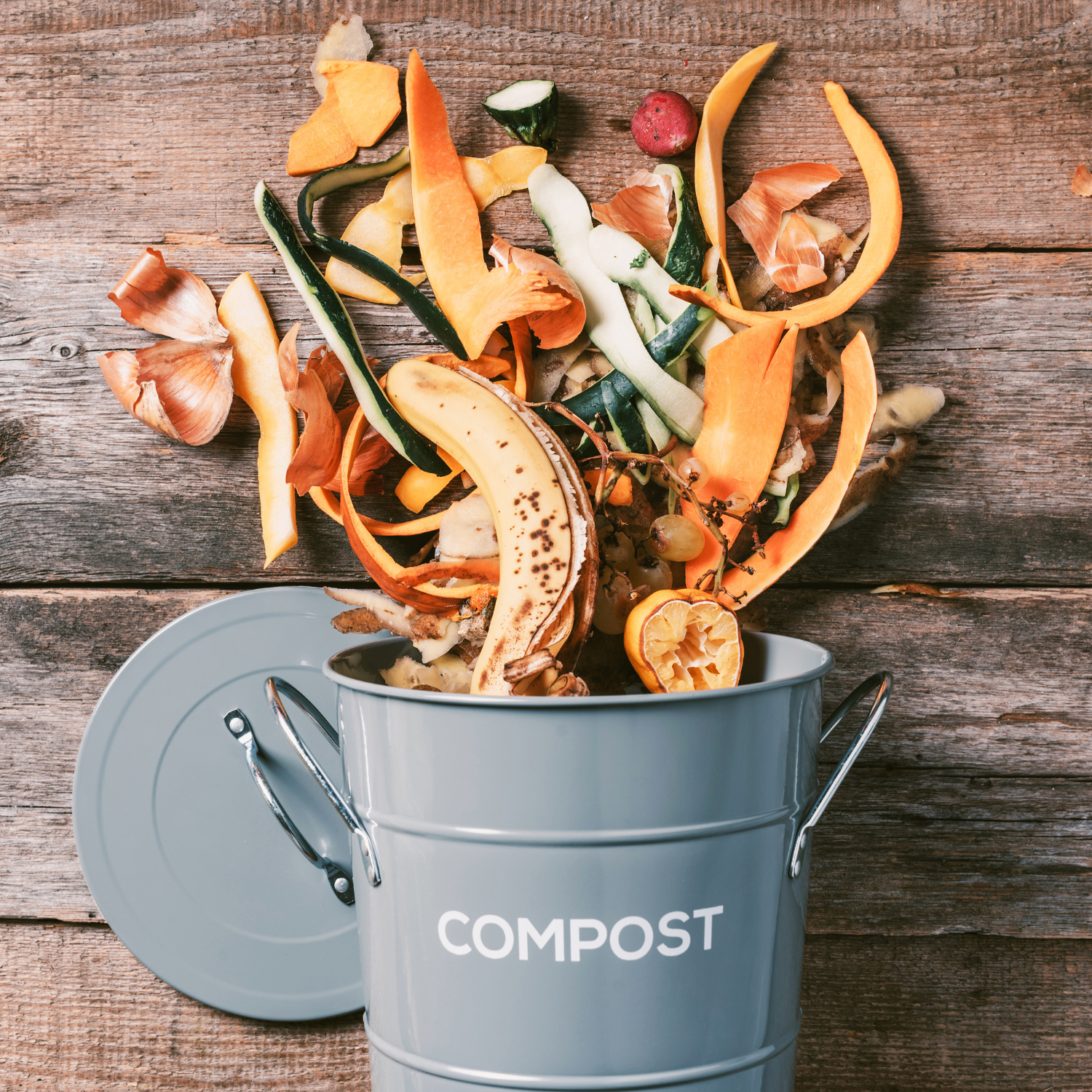 Composting Made Easy: A Beginner’s Step-by-Step Guide